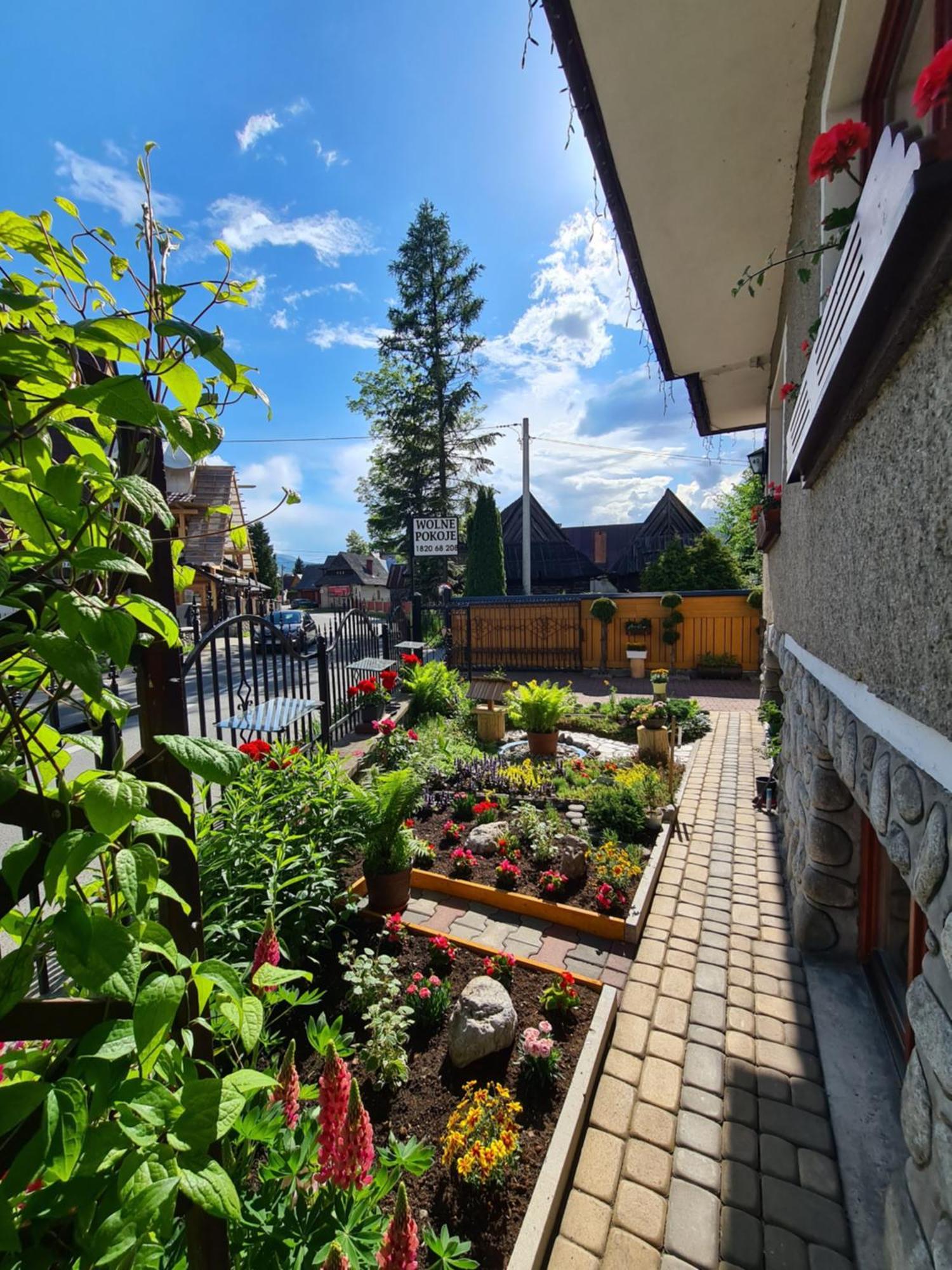 Pokoje U Anny Zakopane Ngoại thất bức ảnh